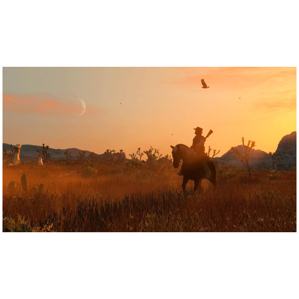 Alternative view of Red Dead Redemption - Switch